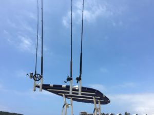 Rod Holder Twin Rods